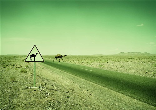 Photographers Page Photo 