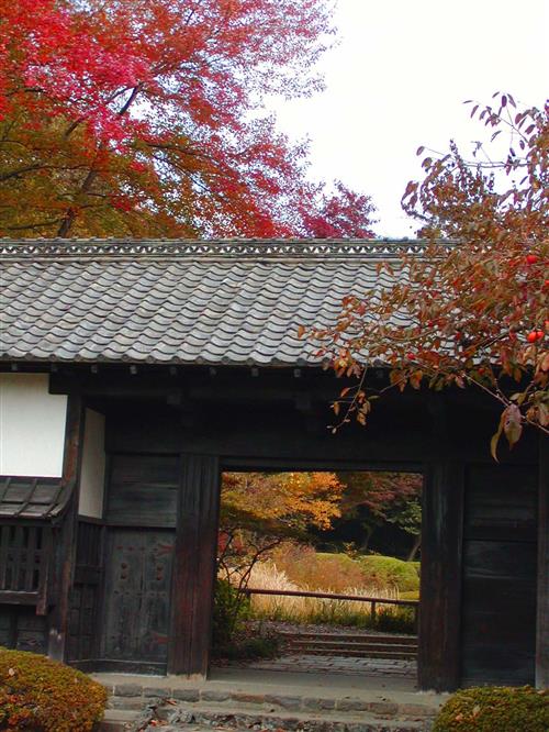 Higashiyama Botanical Garden autumn City of Nagoya