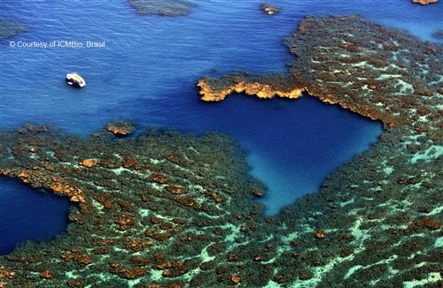 Abrolhos Archipelago ICMBio/Nelson Yoneda