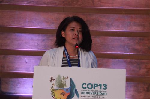 Mrs. Yoko Watanabe, Senior Biodiversity Specialist and Focal Point for Indigenous Peoples.Global Environment Facility (GEF) Cortesy of the Comision Comisión Nacional para el Desarrollo de los Pueblos Indígenas