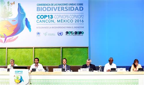 UN Biodiversity Conference - Cancun, Mexico Photo by IISD/ENB - Francis Dejon