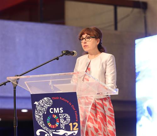 CMS COP 12 - Opening ceremony IISD/ENB