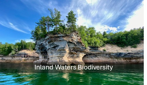Inland waters-Convention on Biological Diversity