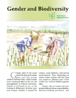 Gender and Biodiversity