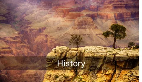 history of the cbd convention