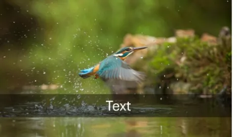 text of the cbd convention