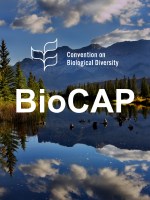 BioCAP Issue No. 07 January 2019