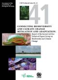CBD Technical Series 41: Biodiversity and Climate Change Mitigation and Adaptation: Report of the Second Ad Hoc Technical Expert Group on Biodiversity and Climate Change