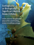 Brochure for the Ecologically and Biologically Significant Marine Areas