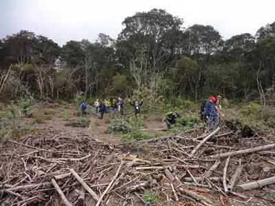 Planning forest restoration to improve water quality in a former plantation in Colombia