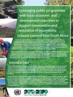 Case study South Africa