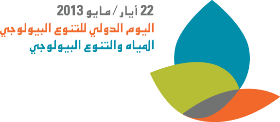 IDB2013-logo-ar