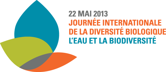 IDB2013-logo-fr