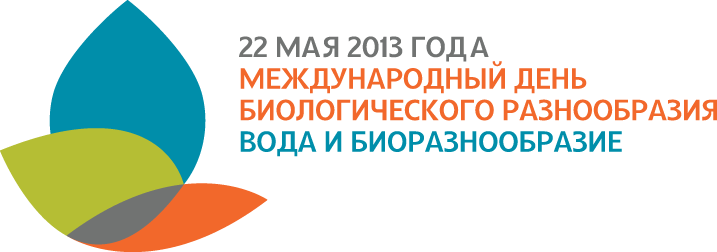 IDB2013-logo-ru