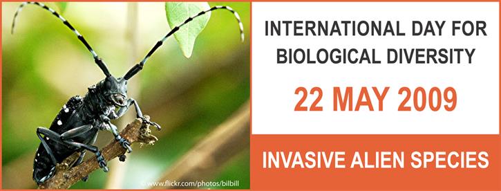 Logo of the International Day for Biological Diversity 2009