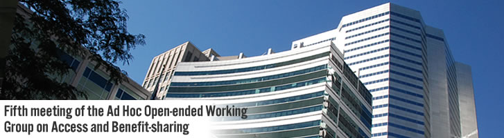 header image for the Fifth meeting of the Ad Hoc Open-ended Working Group on Access and Benefit-sharing