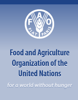 Food and Agricultural Organization
