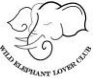 Wild Elephant Lover Club