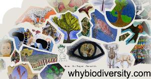 whybiodiversity.com