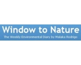 Window to Nature