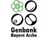 Genbank Bayern Arche – Genbank für Wildpflanzensaatgut
