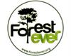 Forestever