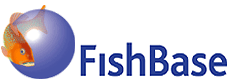 FishBase - A global information system on fish species