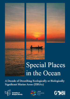 Special Places in the Ocean