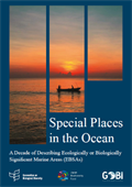 Special Places in the Ocean:  A Decade of Describing Ecologically or Biologically Significant Marine Areas (EBSAs)