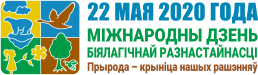 idb-2020-logo-by