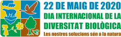 IDB 2020 logo Catalan
