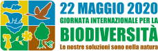 idb-2020-logo-it