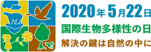 idb-2020-logo-jp