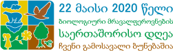 idb-2020-logo-ka