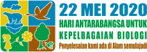 idb-2020-logo-ms