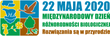 idb-2020-logo-pl