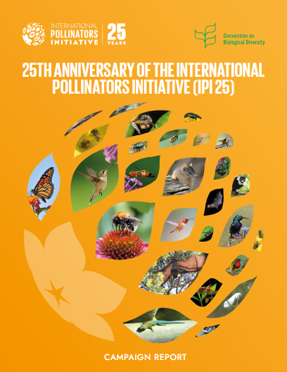 IPI 25 Campaign Report