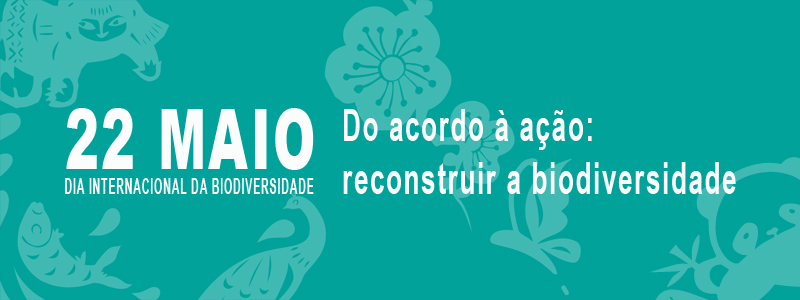 IDB 2023 Facebook banner in portuguese