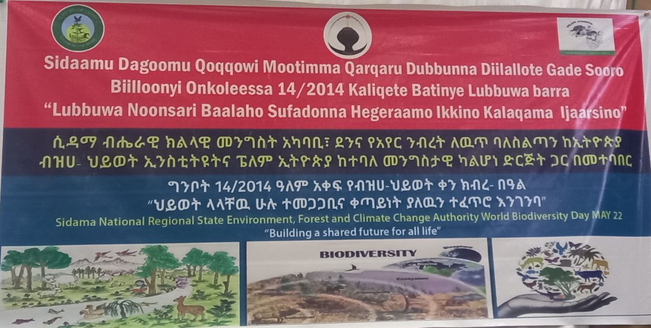 IBD 2022 event in Hawassa, Ethiopia