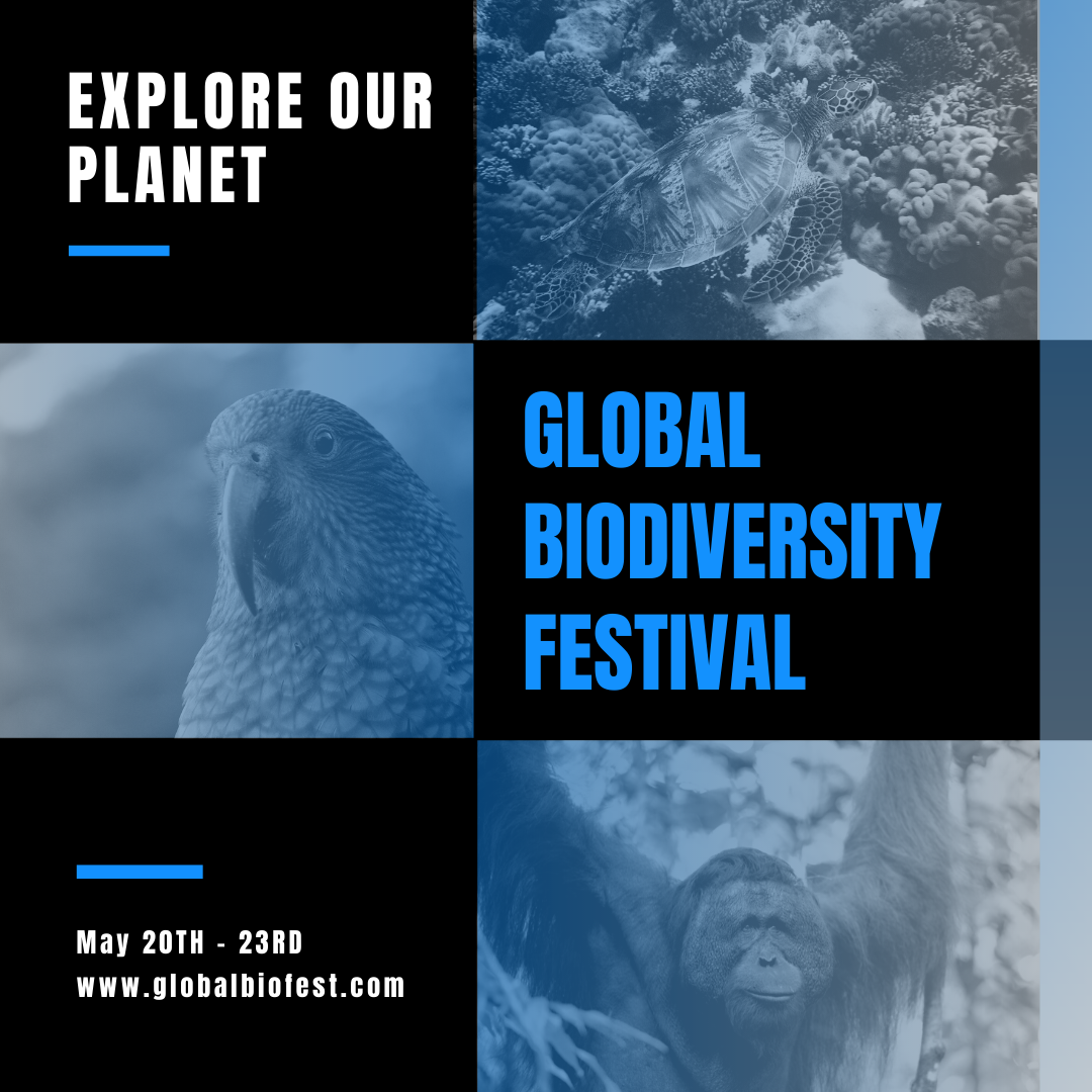 Global Biodiversity Fest 2021 1