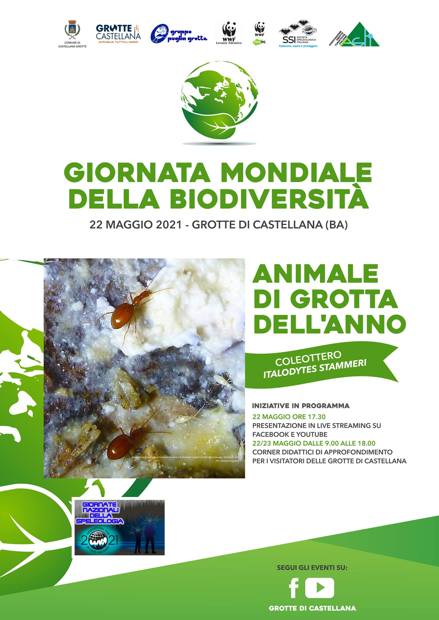 IDB 2021 Italy event 1