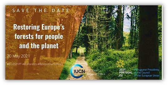 IDB 2021 Portugal Celebrations 1