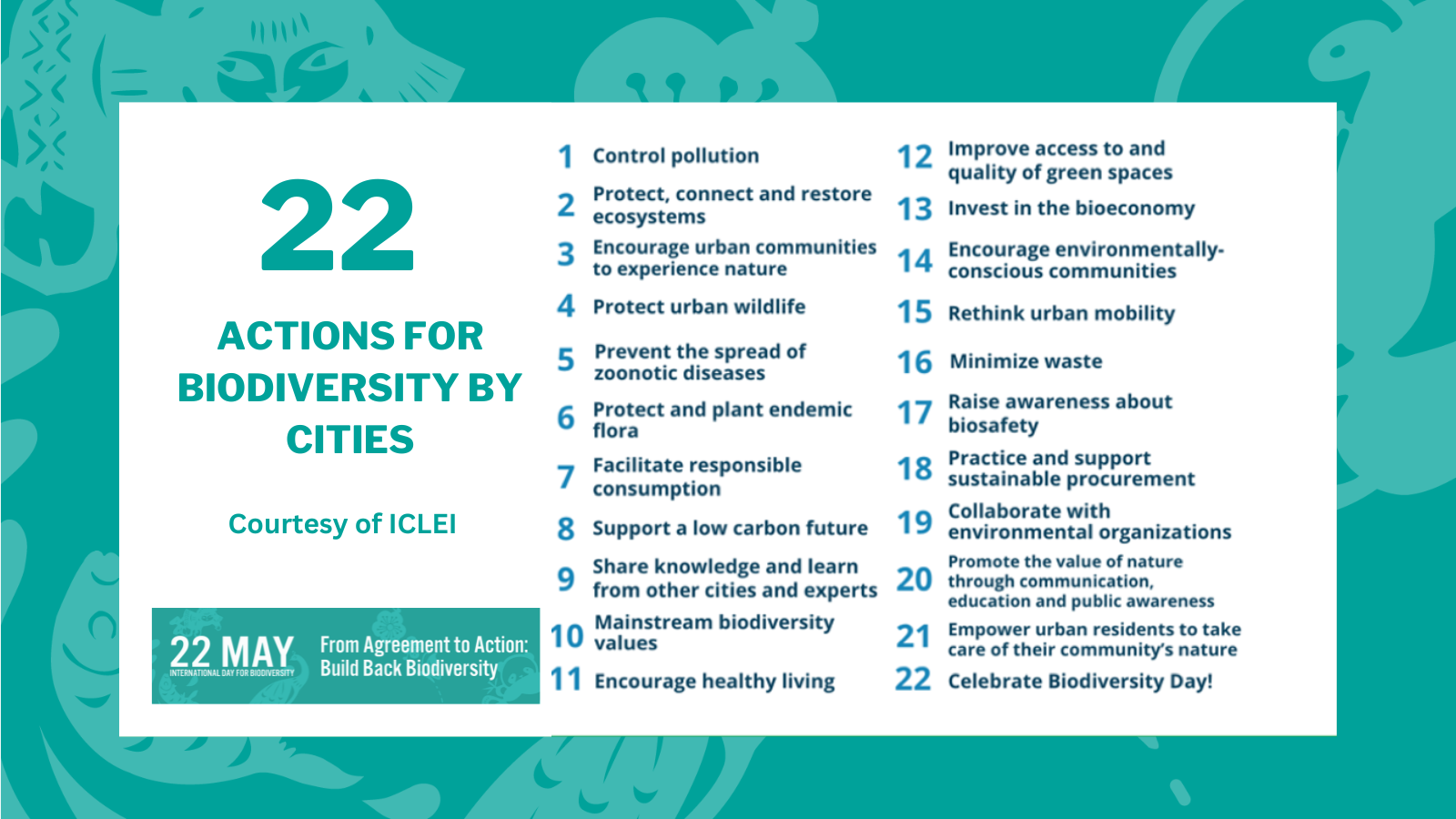 IDB 2023 - 22 actions for biodiversity by cities (courtesy of ICLEI)