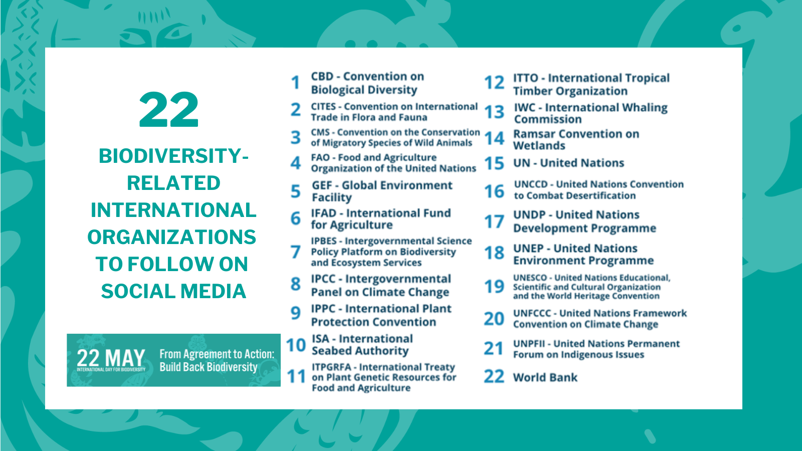 IDB 2023 - 22 biodiversity-related international organizations to follow on social media