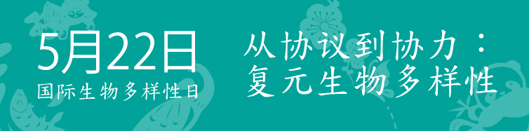 IDB 2023 logo in Chinese