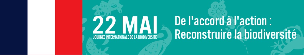 IDB 2023 in/en France