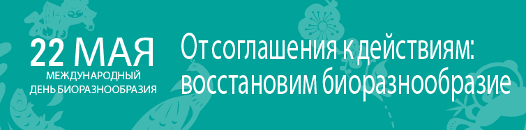 IDB 2023 logo in Russian