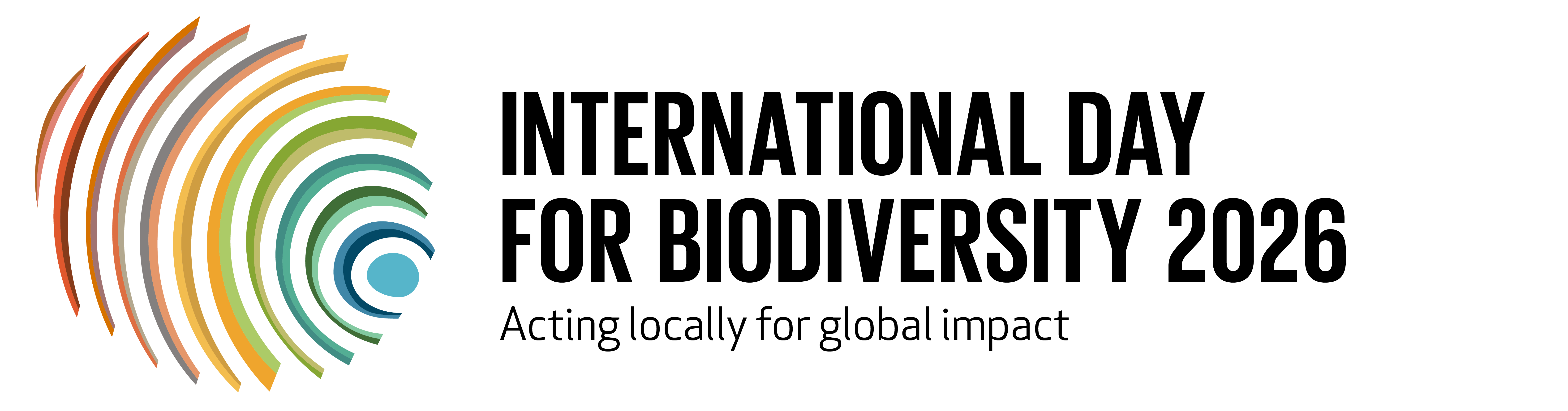 IDB Logo 2026