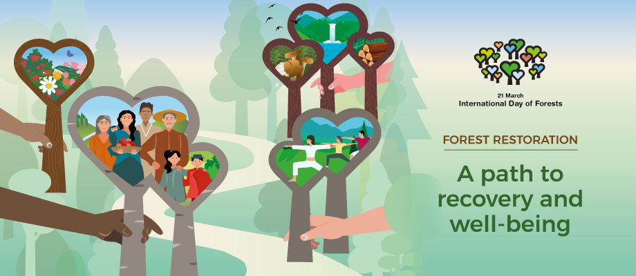International Day of Forests Banner
