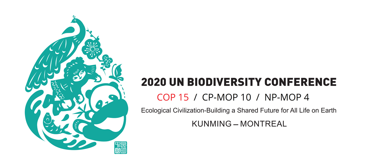 Official logo of the UN Biodiversity Conference (COP15)